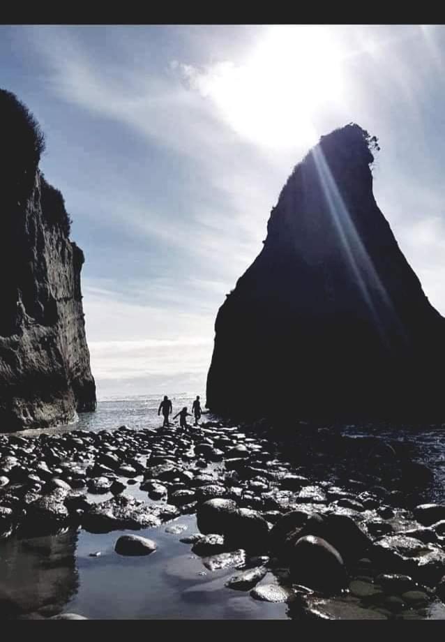 The Hole In The Rock Yurt 호텔 Cape Foulwind 외부 사진