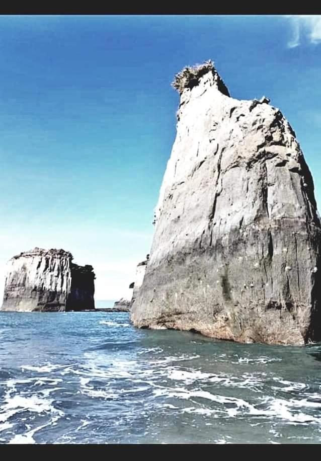 The Hole In The Rock Yurt 호텔 Cape Foulwind 외부 사진